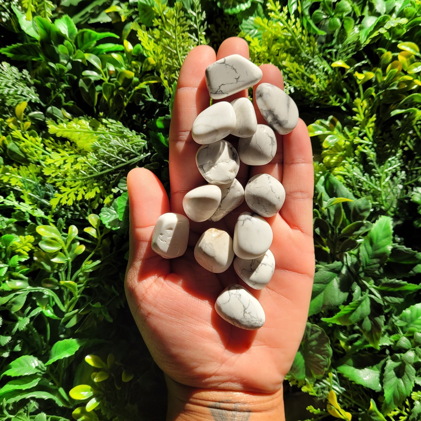 Howlite Tumble