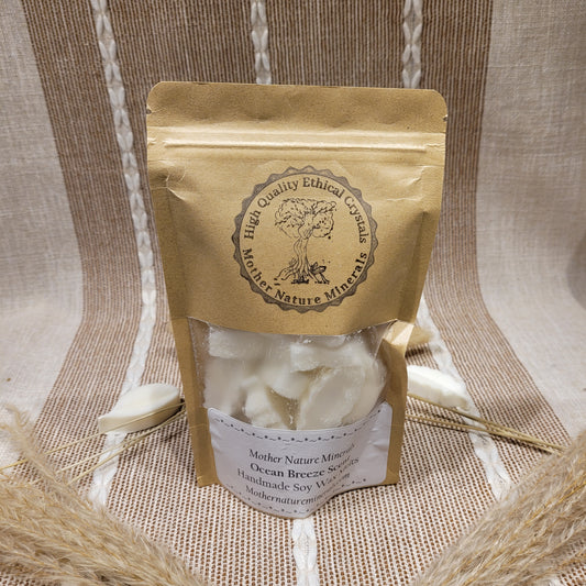 Ocean Breeze Wax Melt Pack