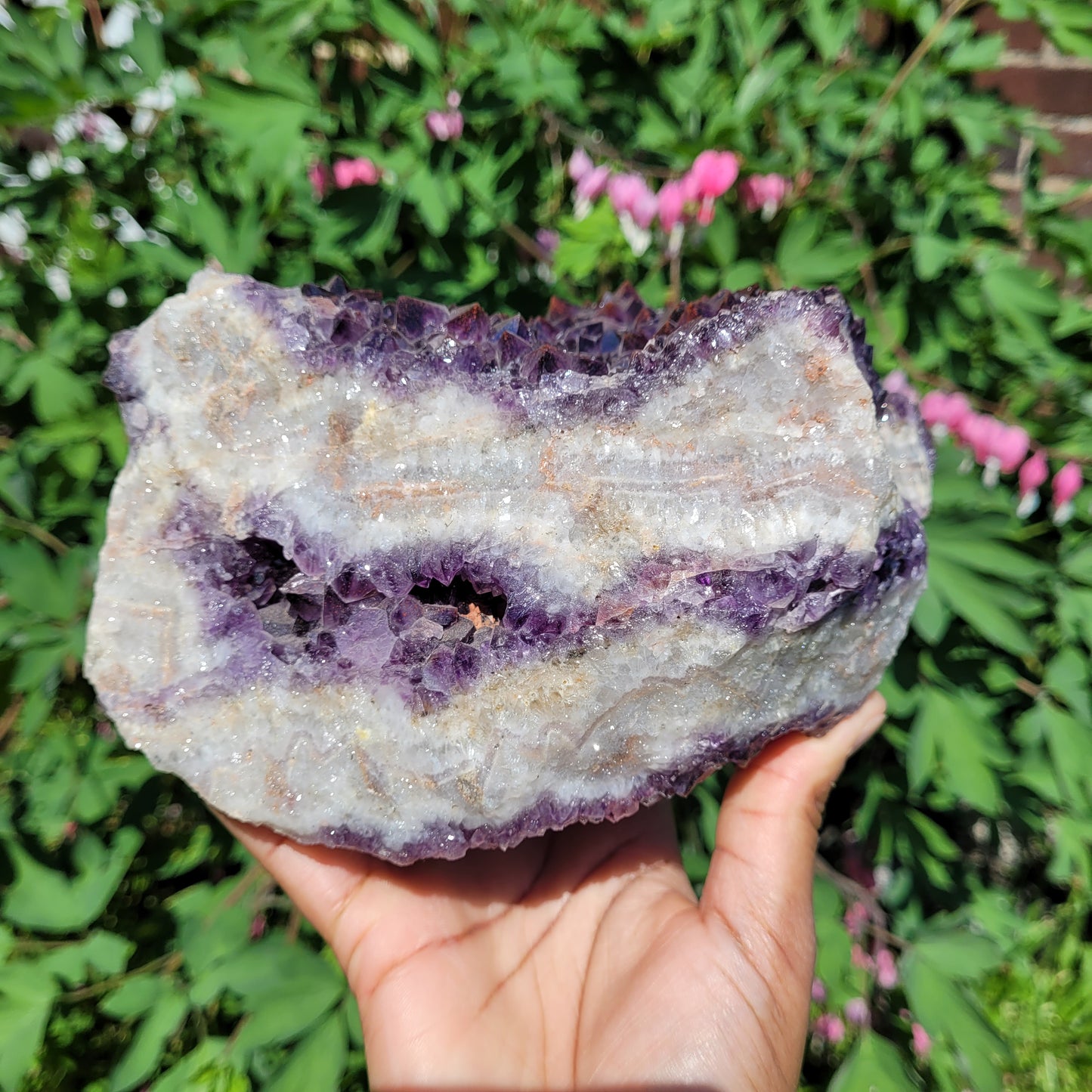 Thunder Bay Amethyst Freeform