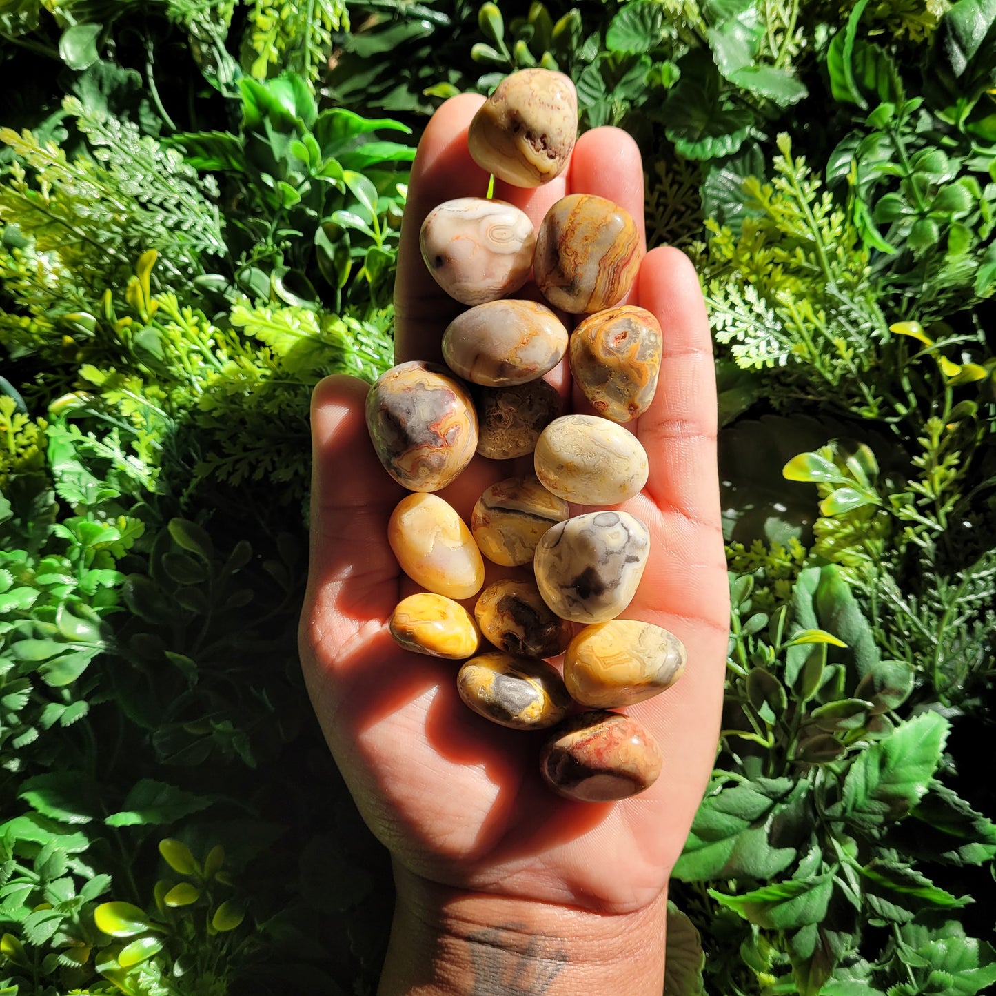 Crazy Lace Agate Tumble