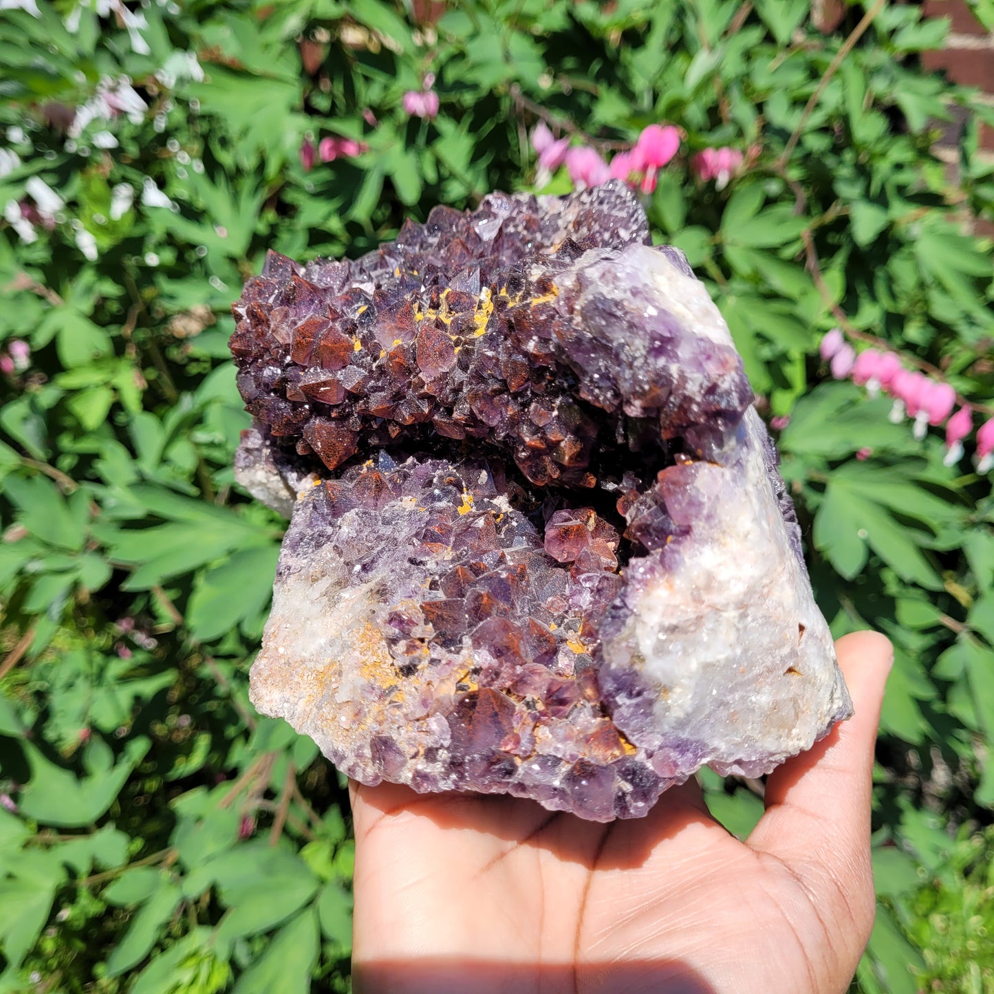 Thunder Bay Amethyst Freeform