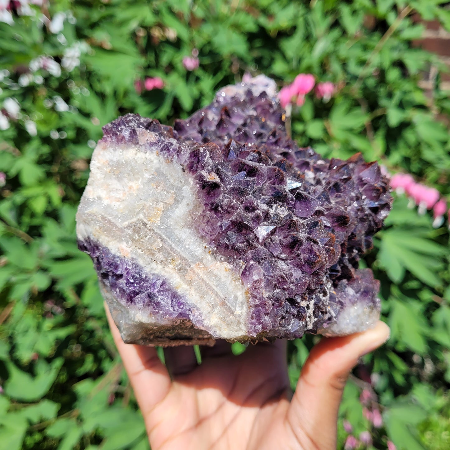 Thunder Bay Amethyst Freeform