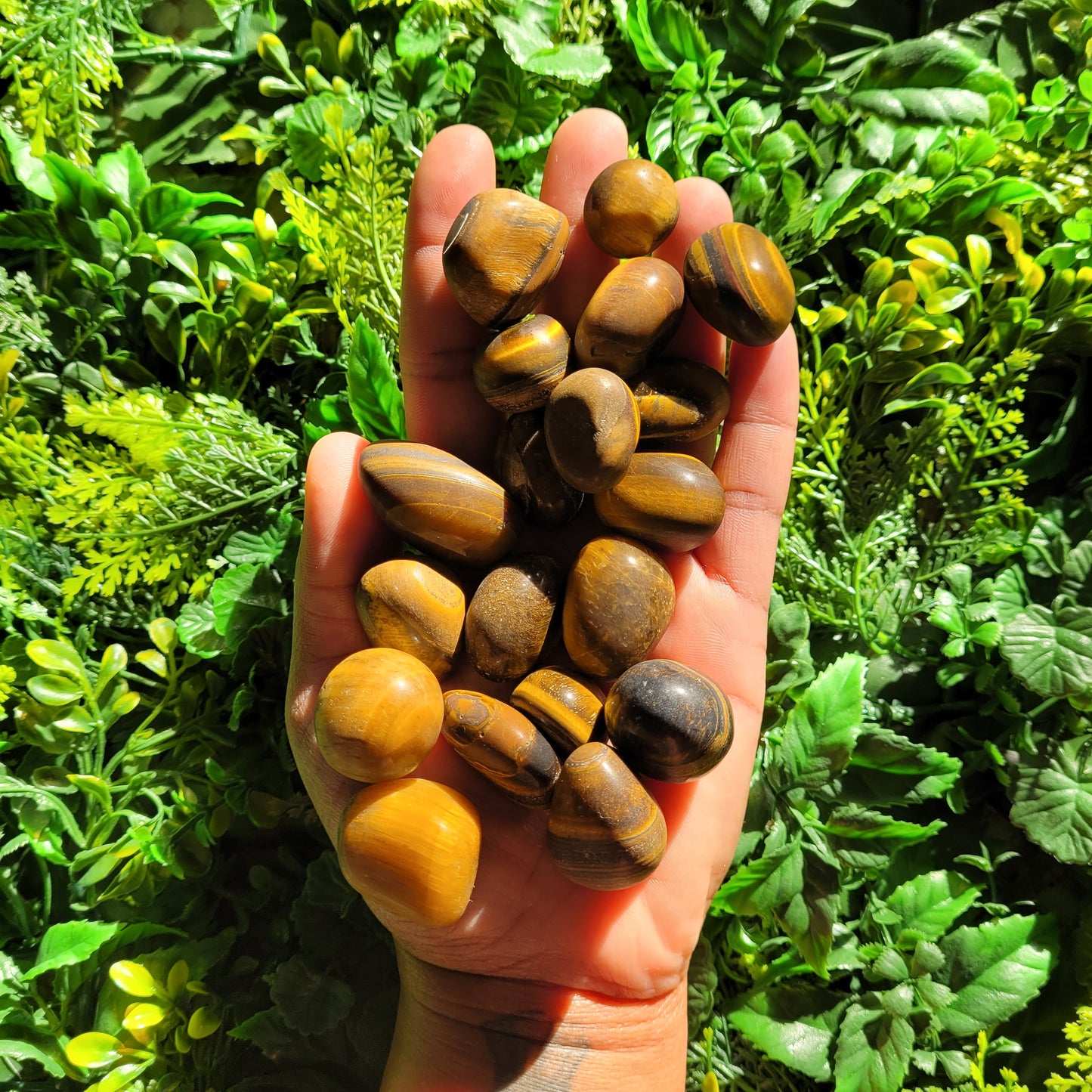 Tigers Eye Tumble
