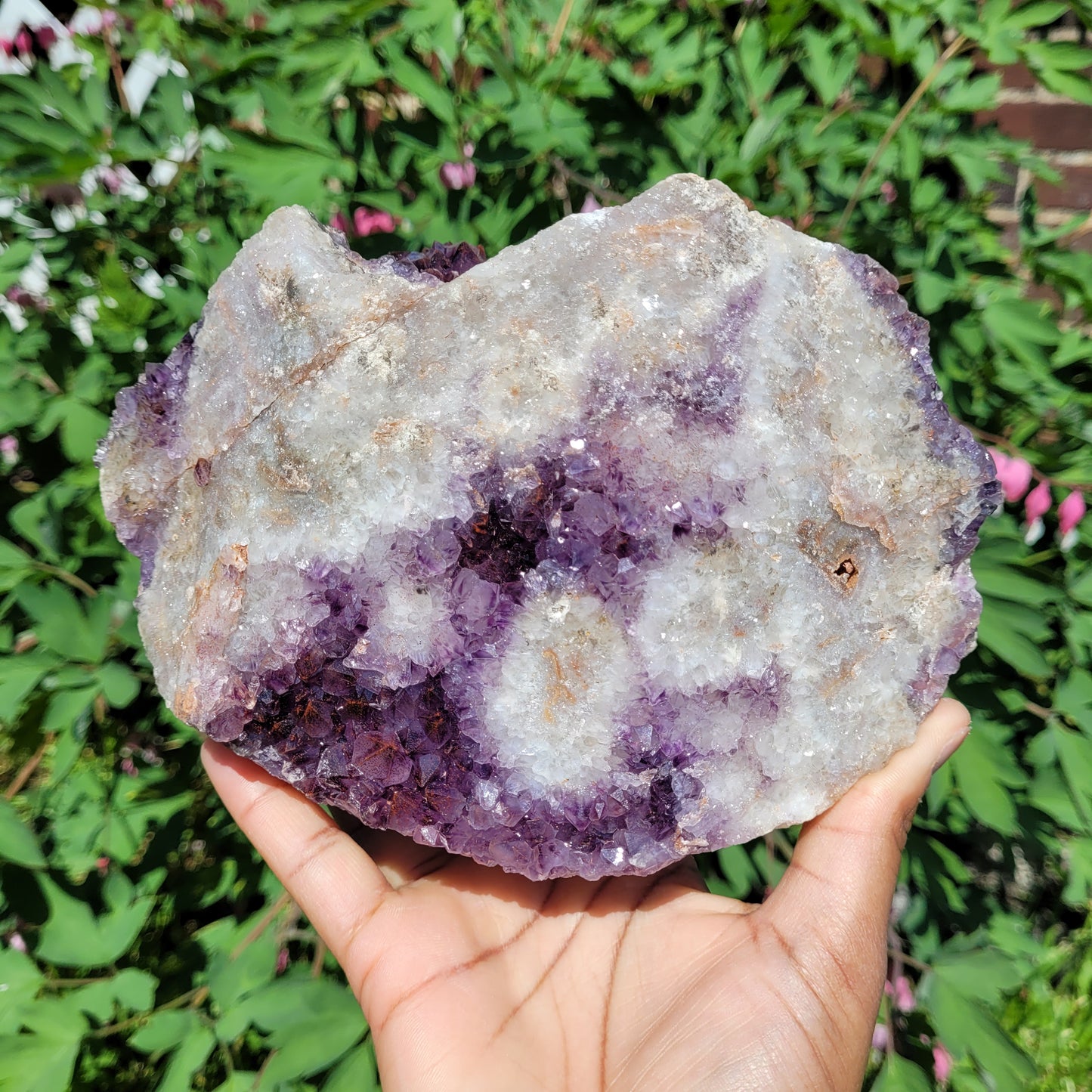 Thunder Bay Amethyst Freeform