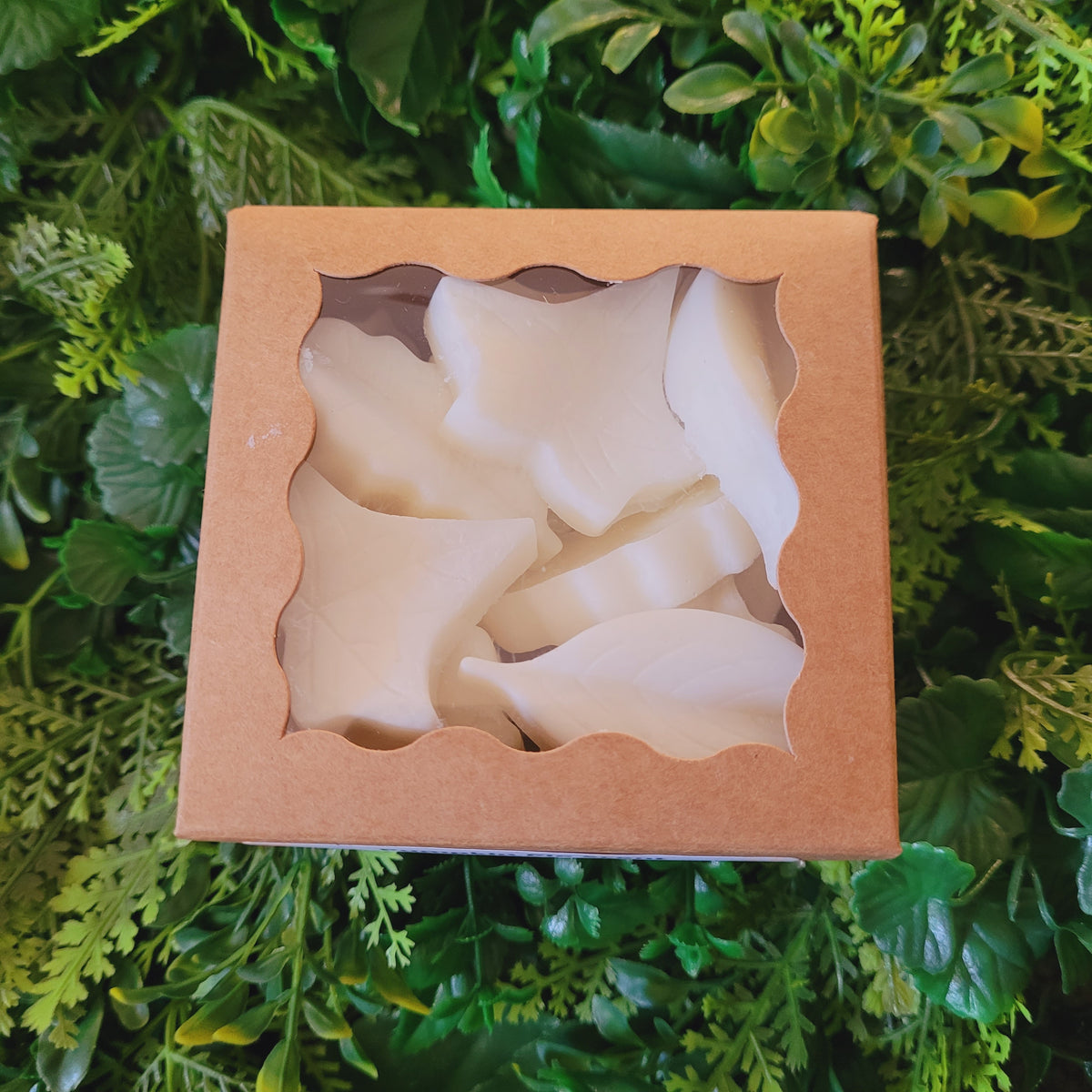 Pumpkin Pie Wax Melt Pack