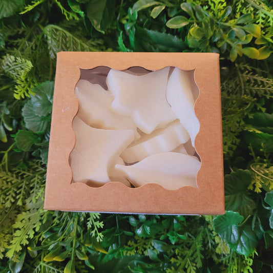 Pumpkin Pie Wax Melt Pack