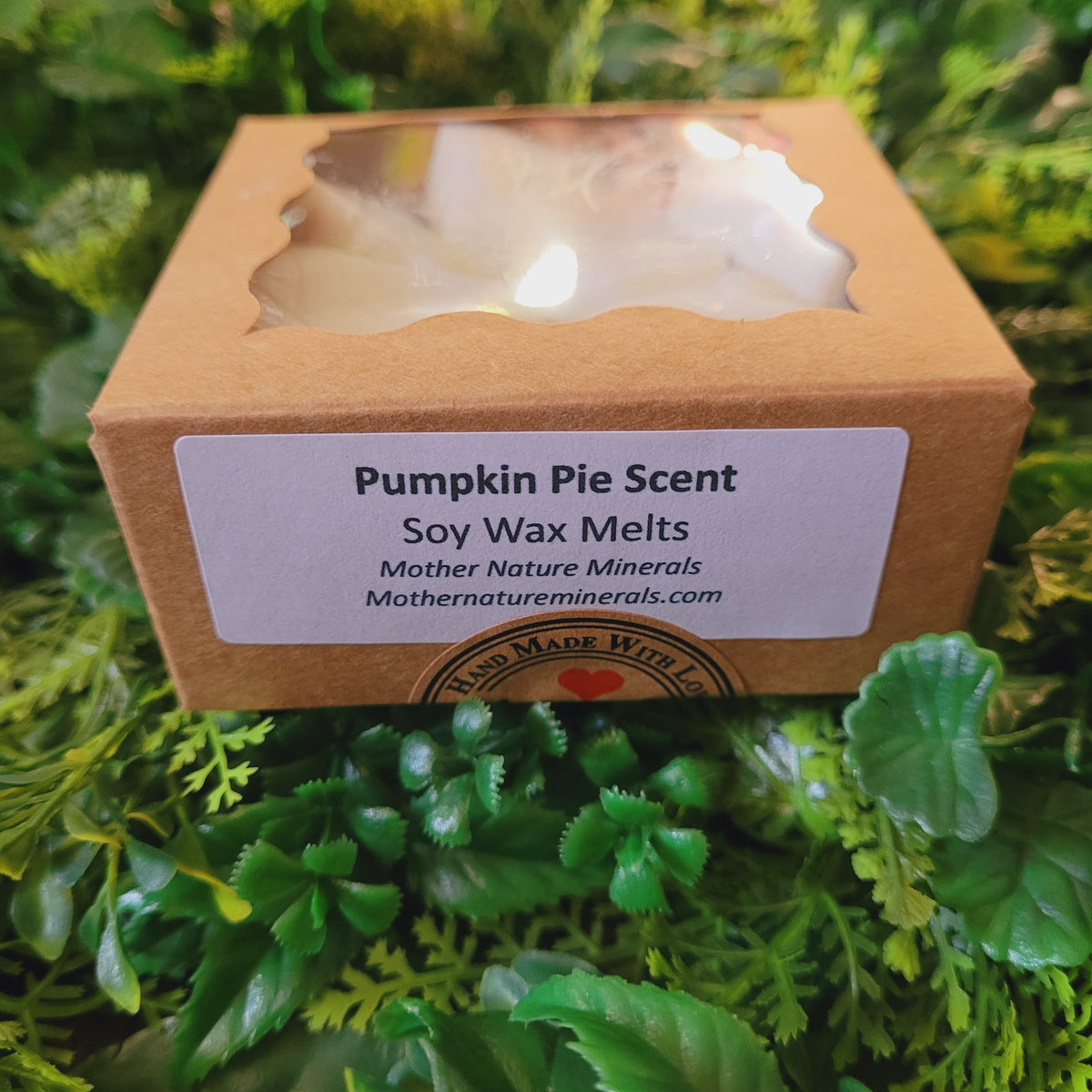 Pumpkin Pie Wax Melt Pack