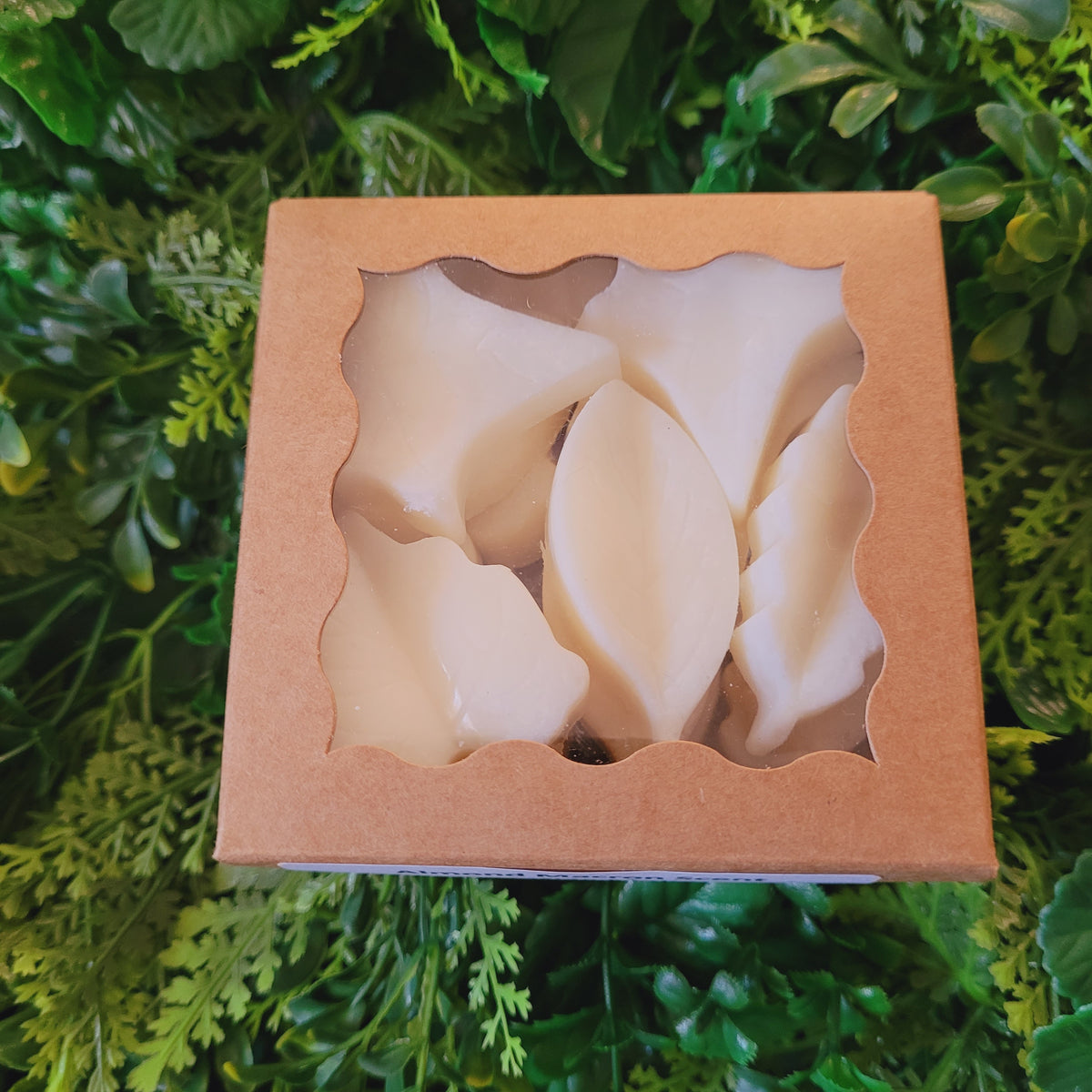 Almond Macaroon Wax Melt Pack