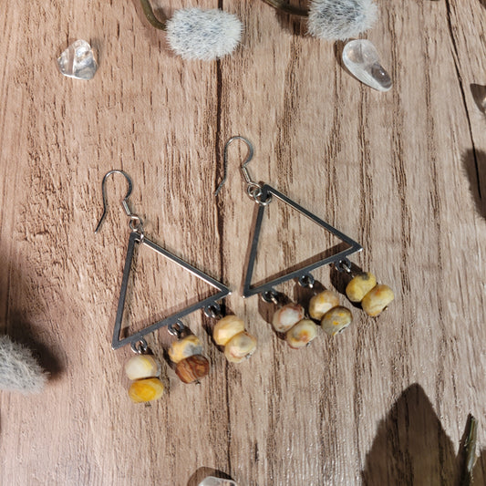 Crazy Lace Agate Earrings