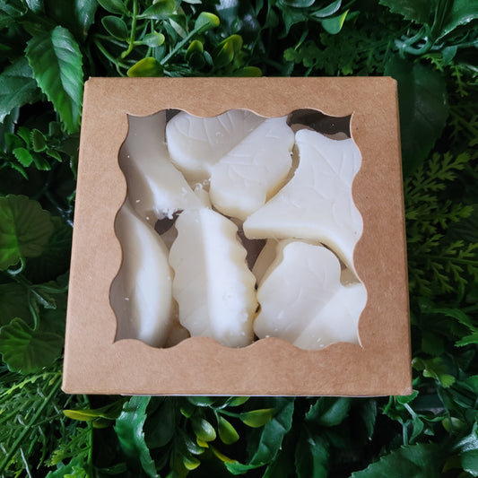 Grapefruit Wax Melt Pack