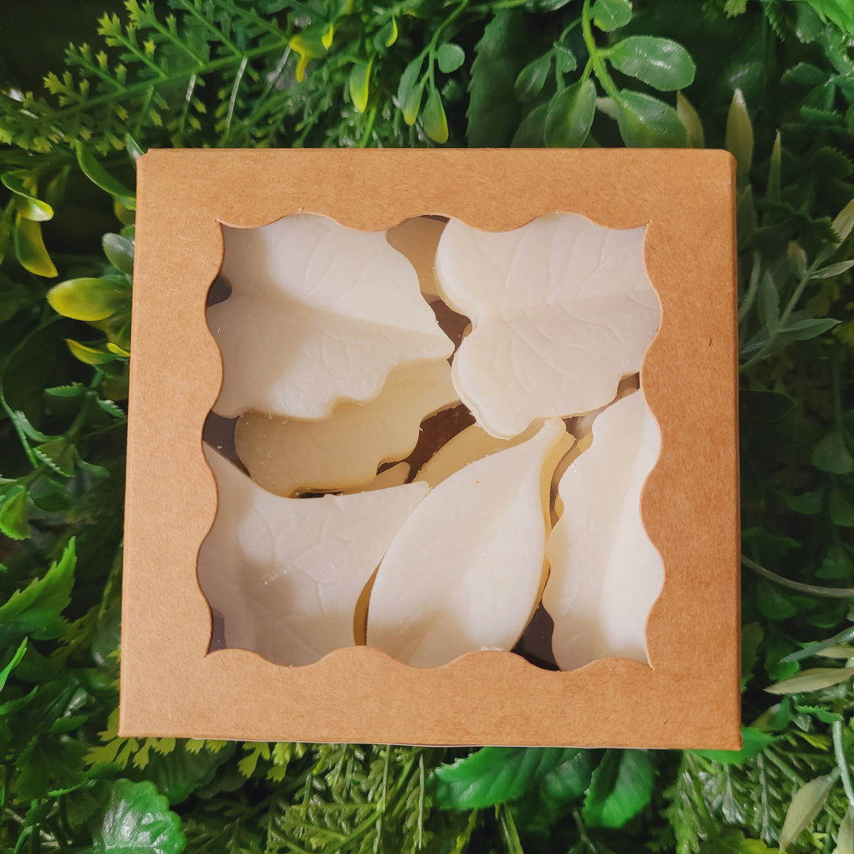Amber Noir Wax Melt Pack