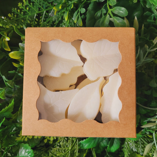 Amber Noir Wax Melt Pack