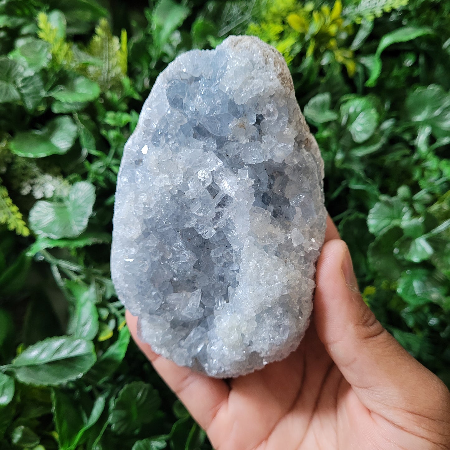 Celestite Cluster