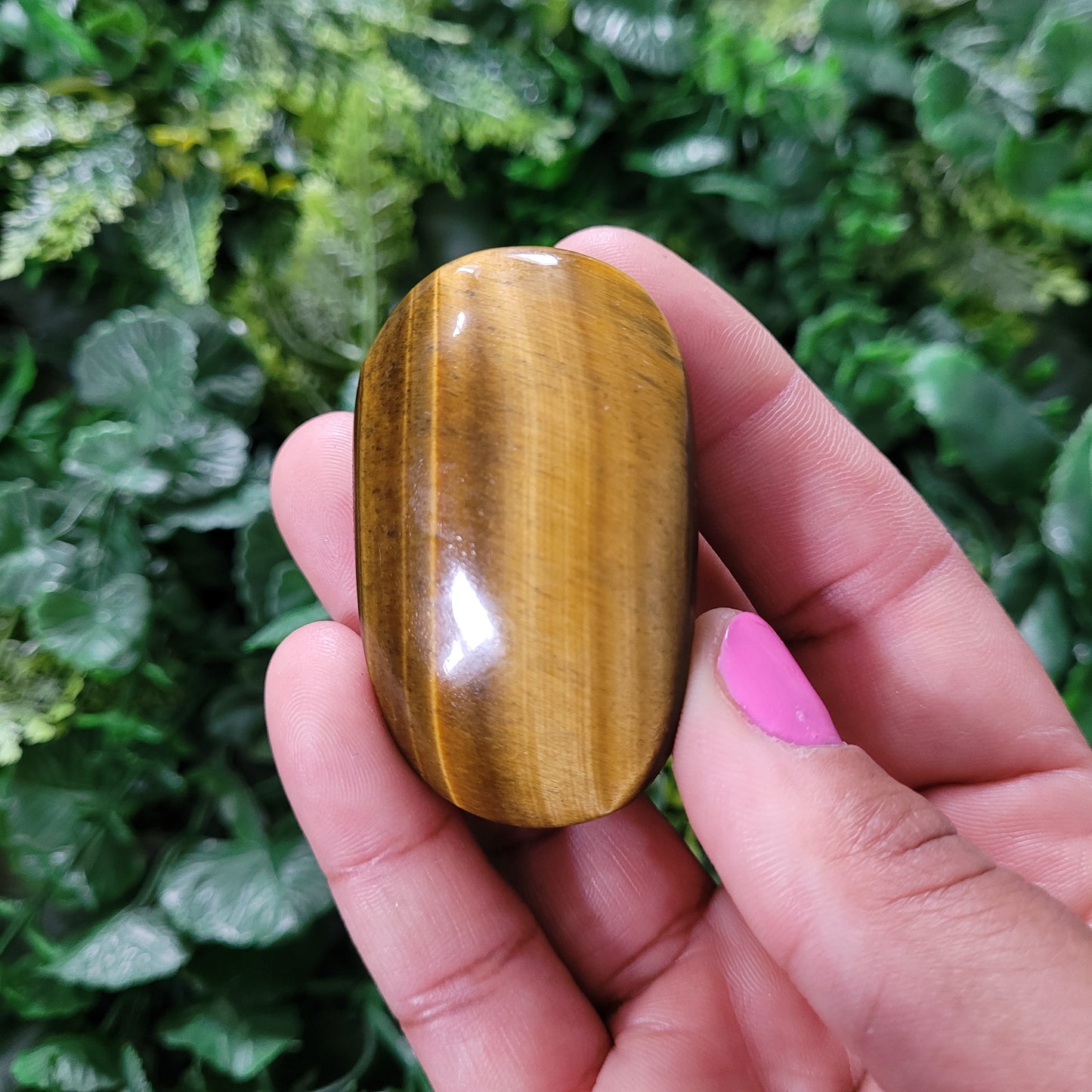 Tigers Eye Palmstone