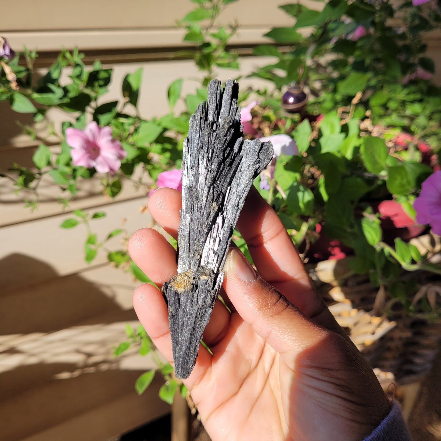 Black Kyanite Crystal Fan