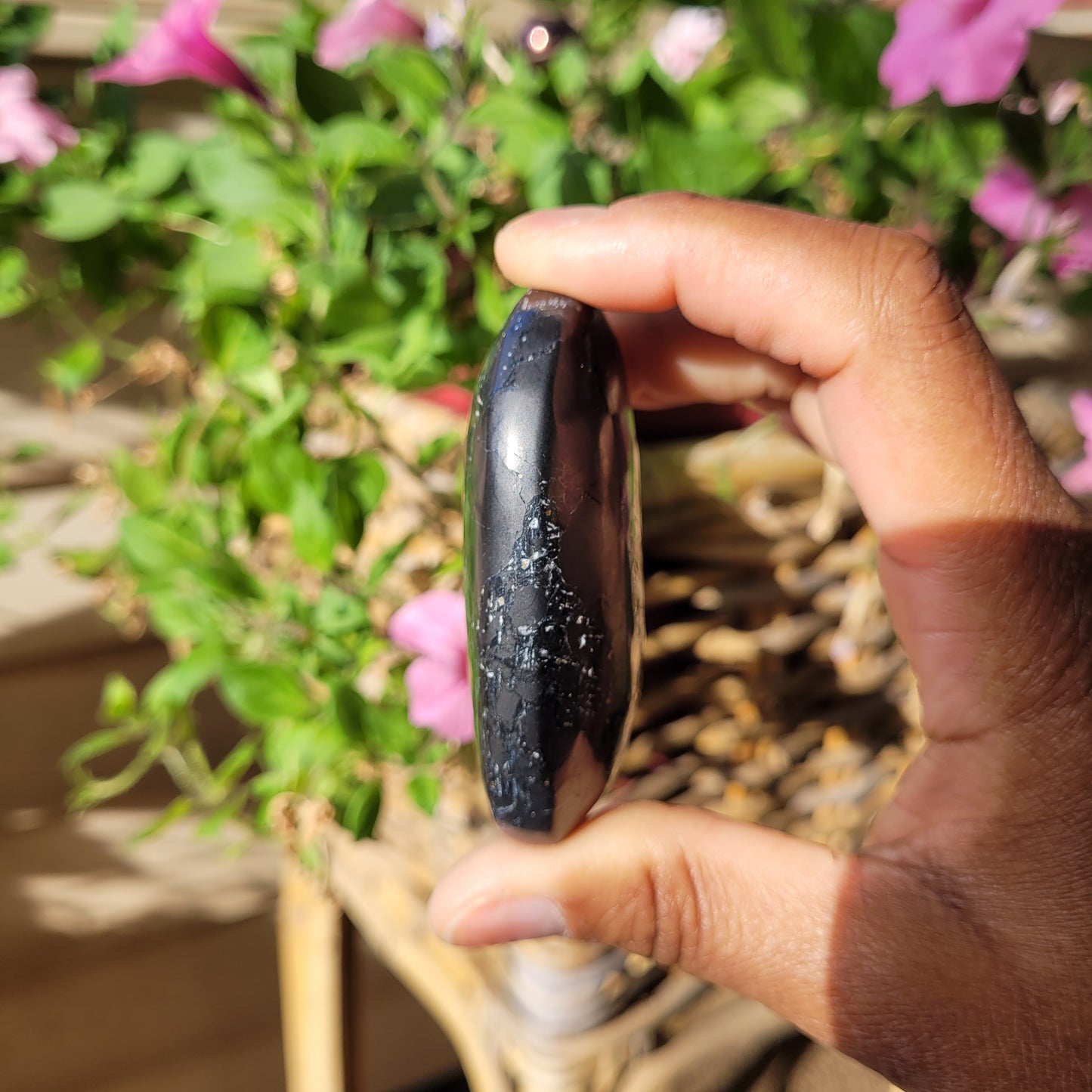 Shungite Palmstone