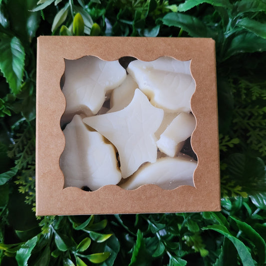 Toasted Coconut Wax Melt Pack