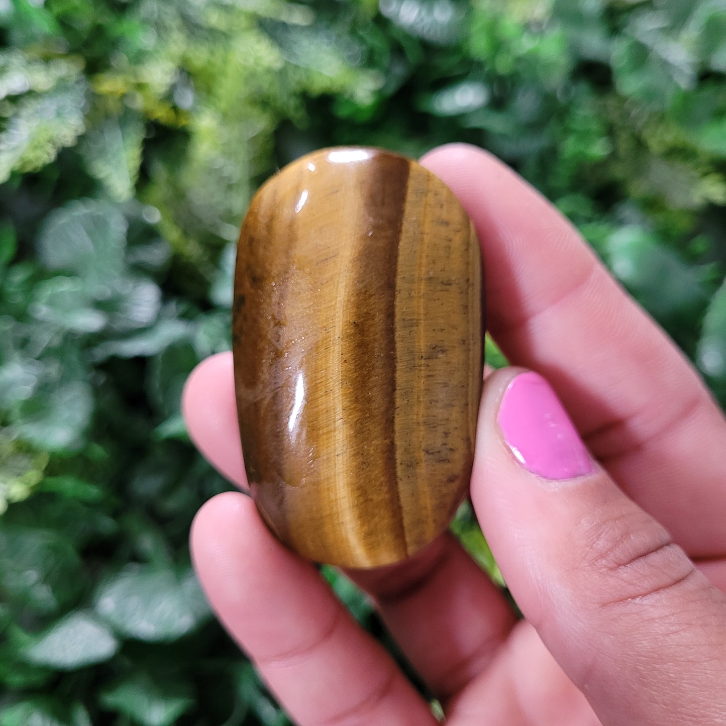 Tigers Eye Palmstone