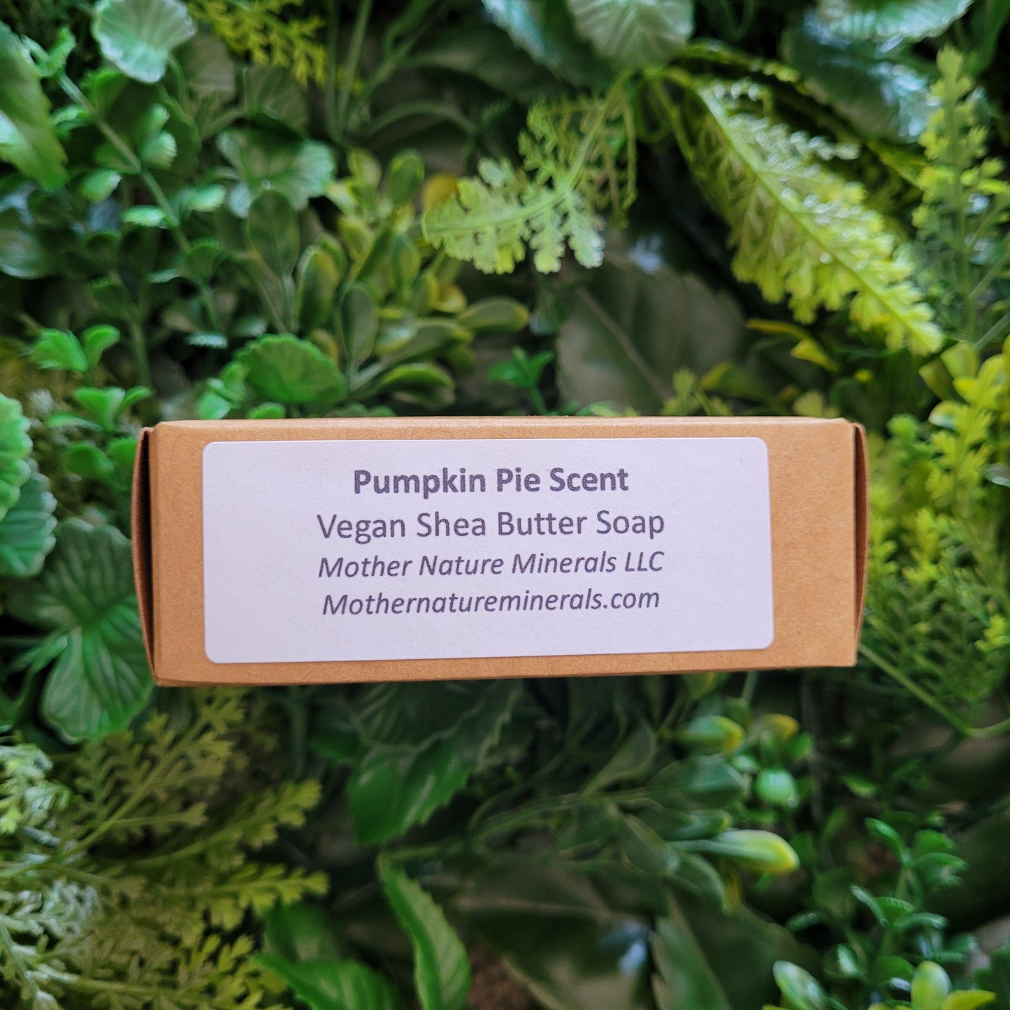 Pumpkin Pie Soap