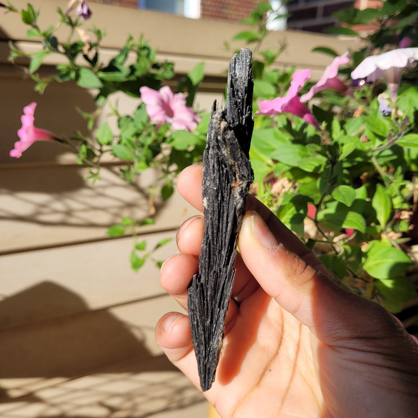 Black Kyanite Crystal Fan