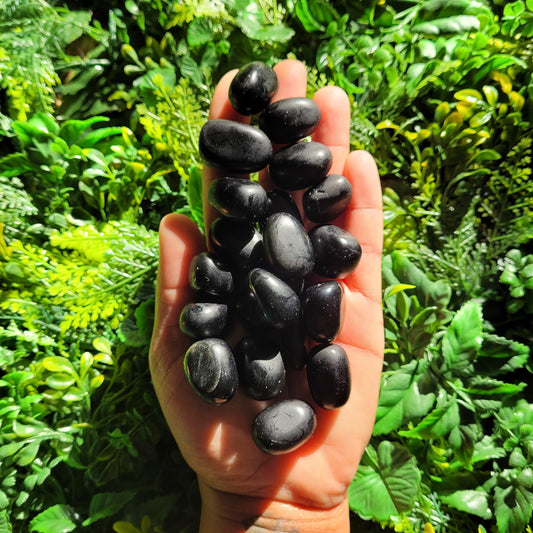 Black Obsidian Tumble