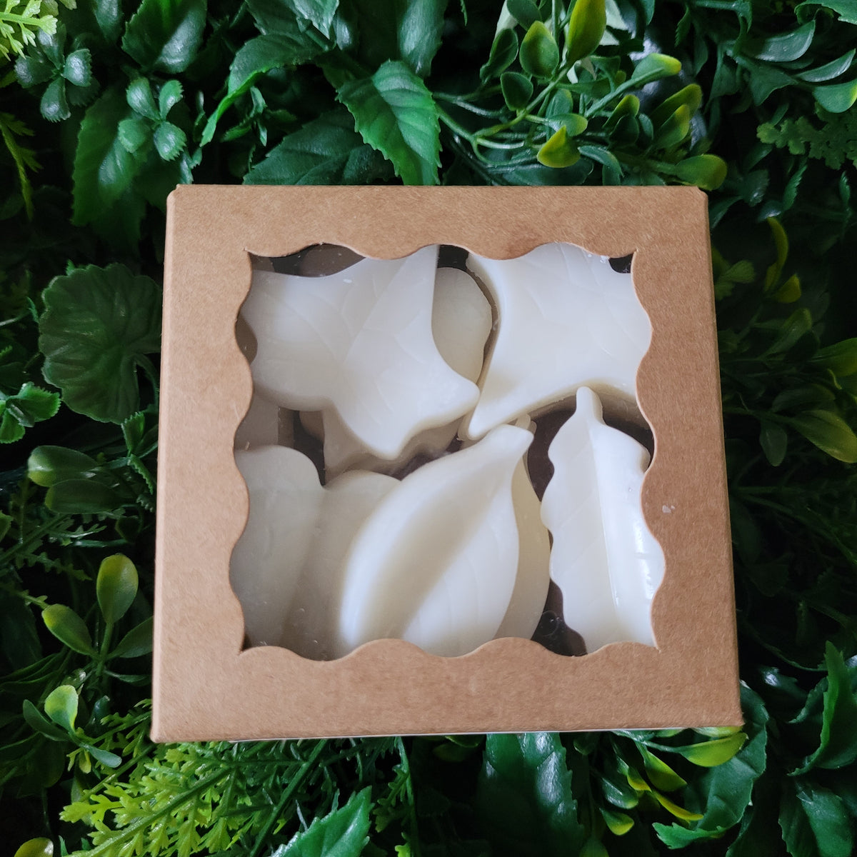 Blood Orange Wax Melt Pack