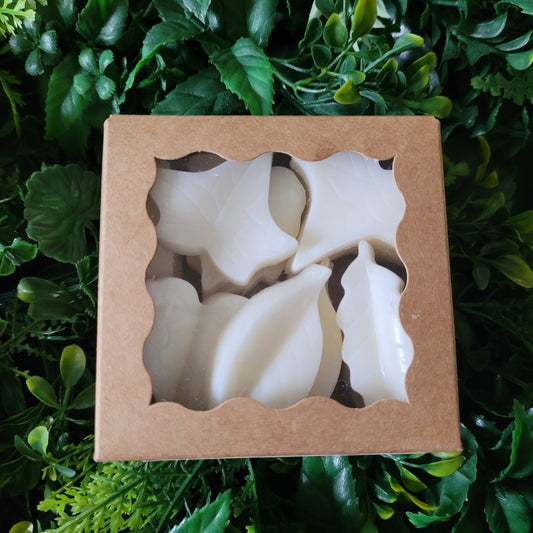 Blood Orange Wax Melt Pack