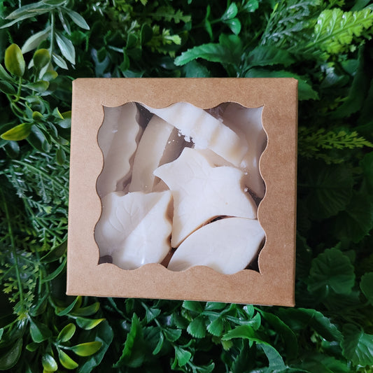 Cactus Flower and Jade Wax Melt Pack