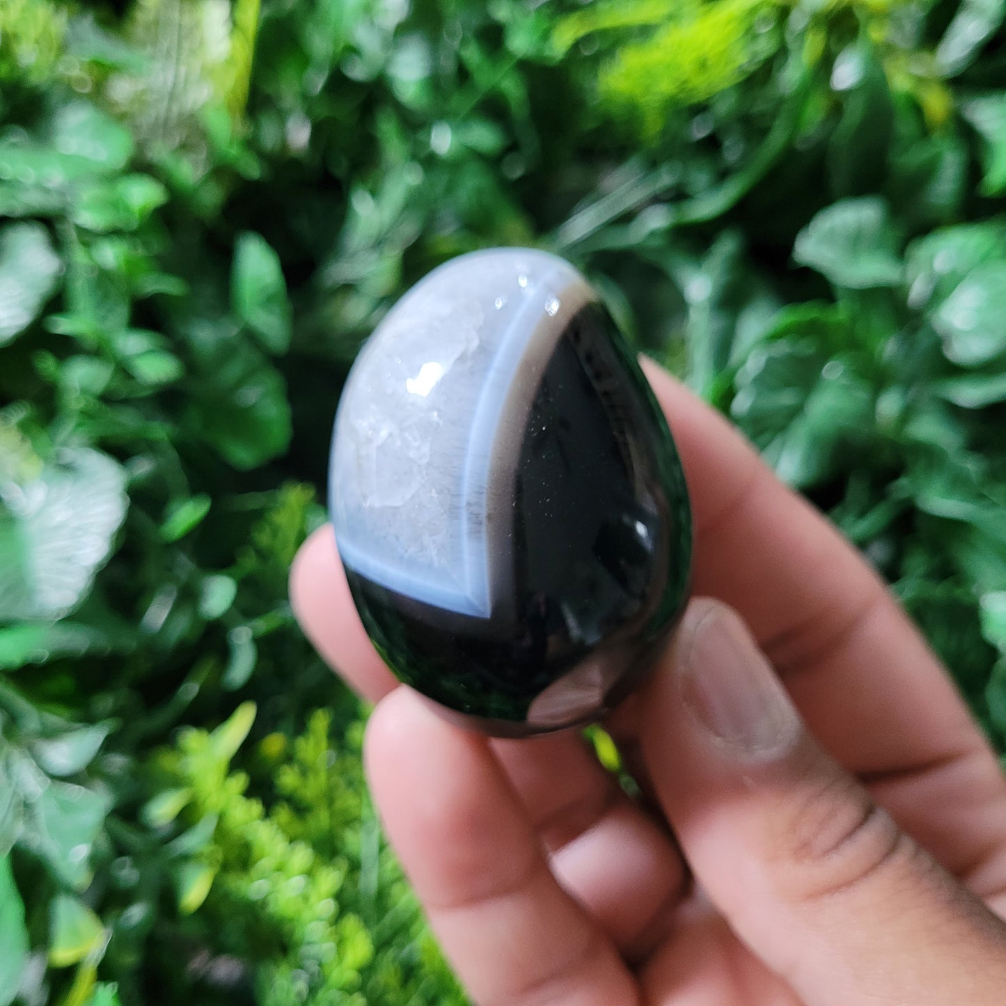 Black Onyx Egg