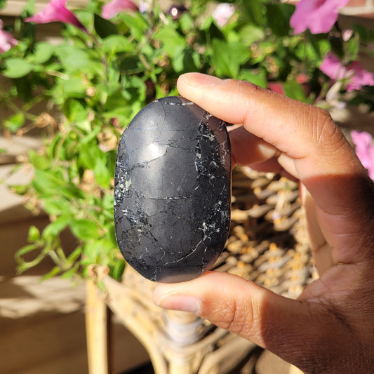 Shungite Palmstone