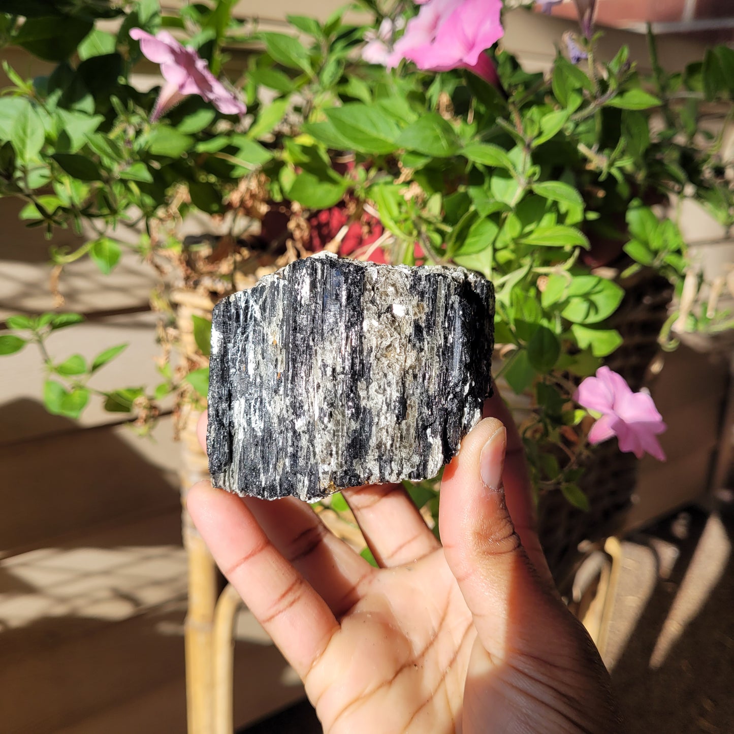 Black Tourmaline Crystal Chunk