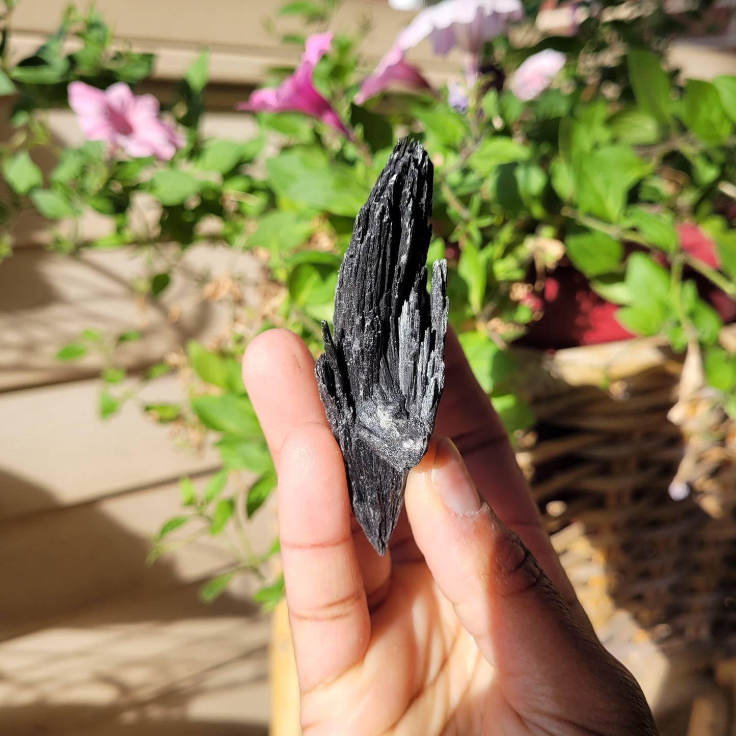 Black Kyanite Crystal Fan