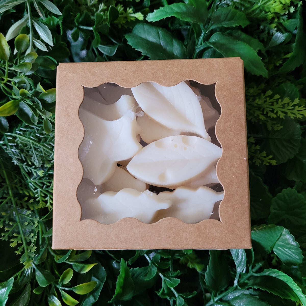 Clean Cotton Wax Melt Pack