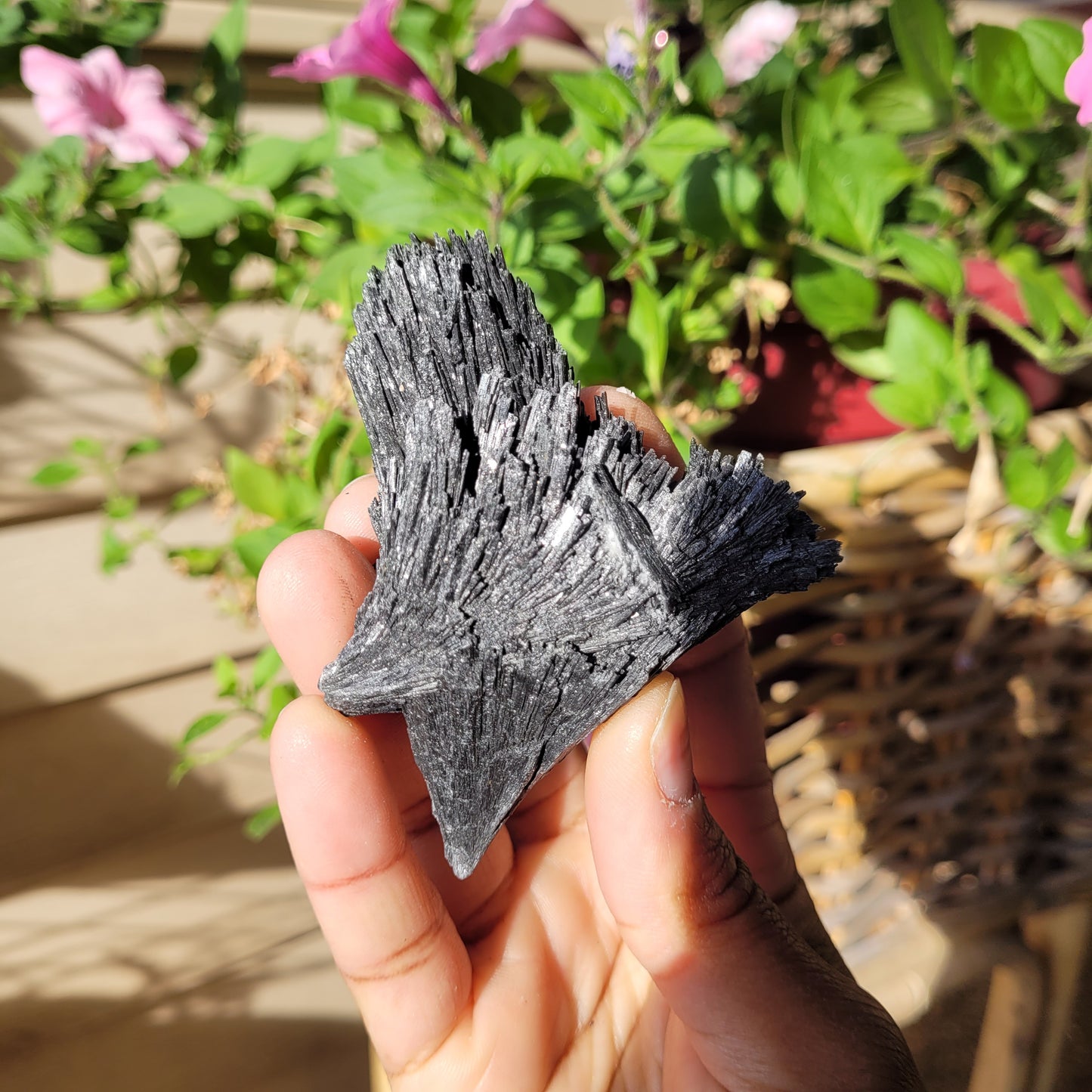 Black Kyanite Crystal Fan