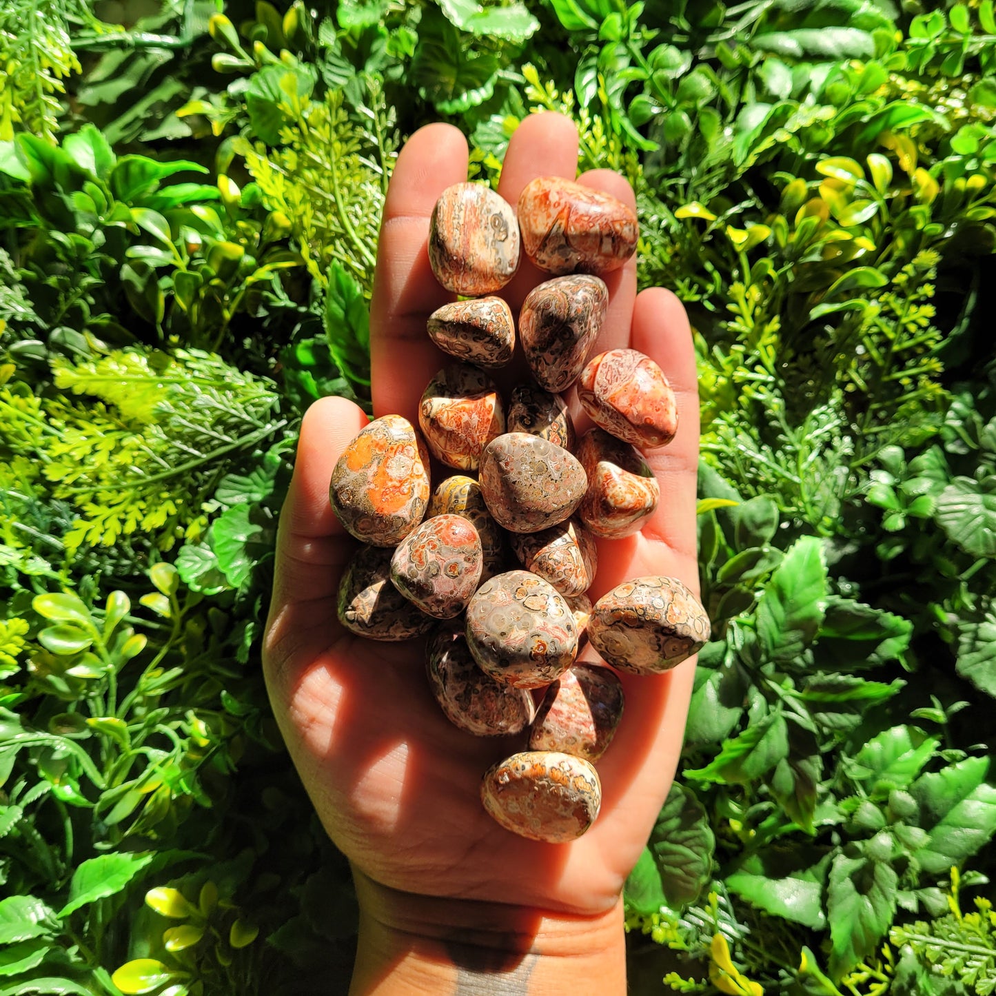 Leopardskin Jasper Tumble