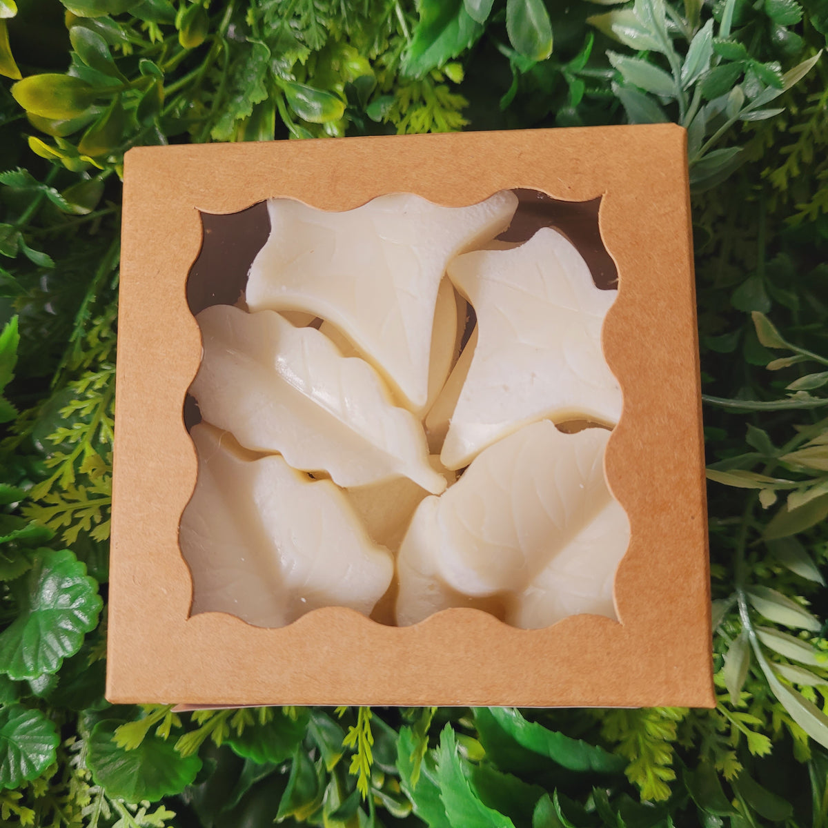 Peach Nectar Wax Melt Pack