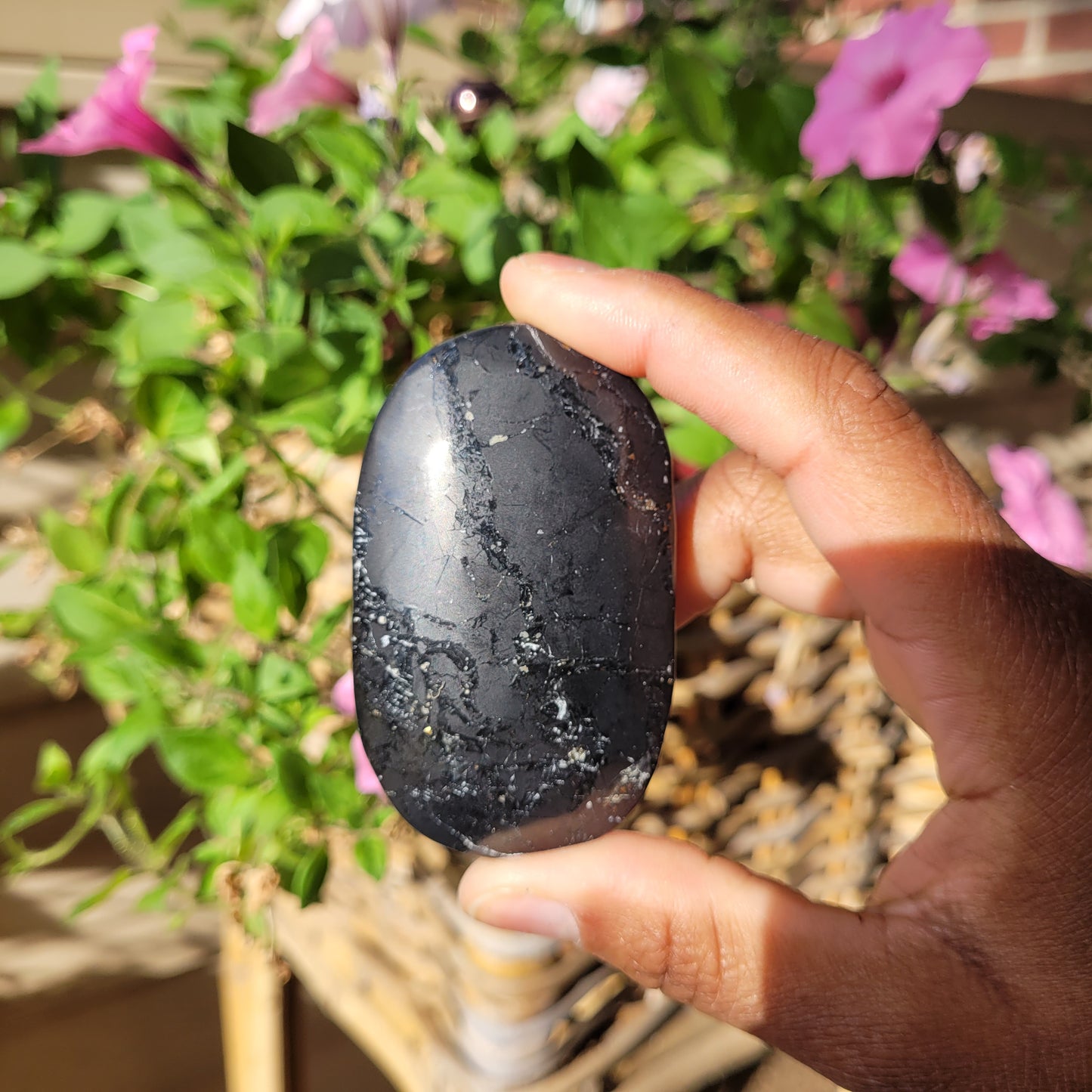 Shungite Palmstone