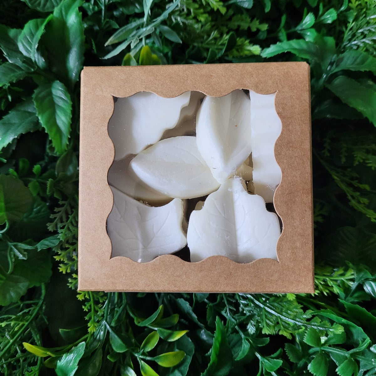 Eucalyptus Wax Melt Pack