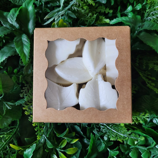 Eucalyptus Wax Melt Pack
