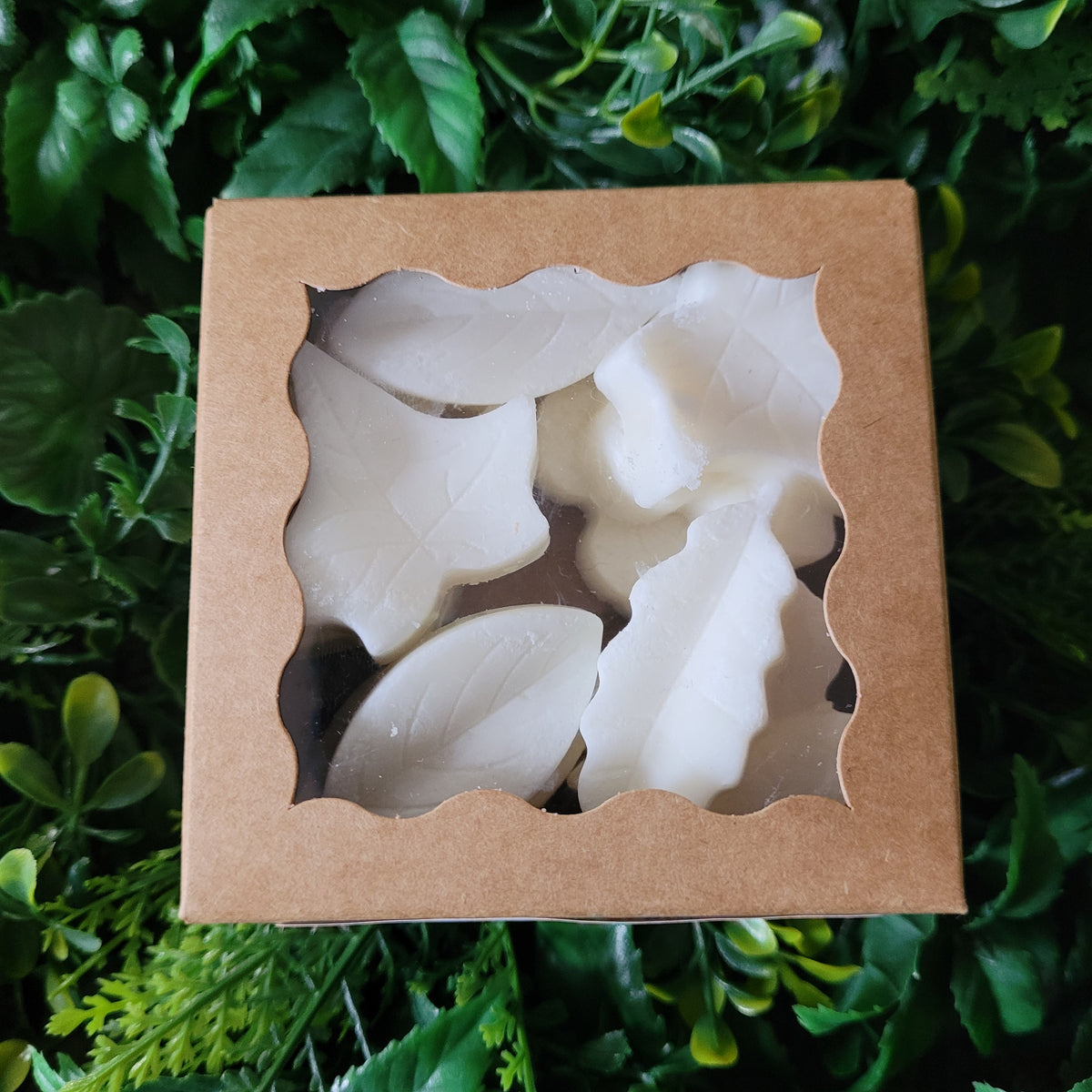 Fig Tree Wax Melt Pack