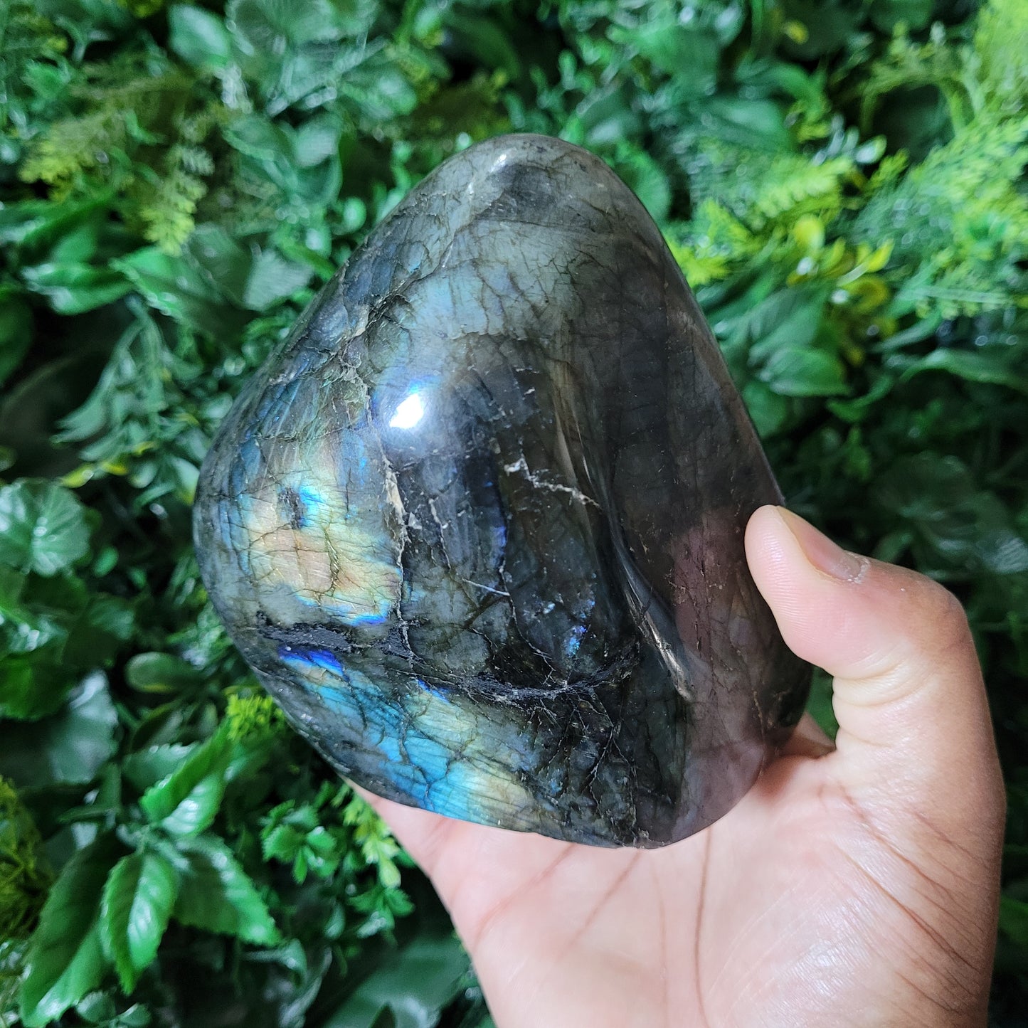 Labradorite Freeform