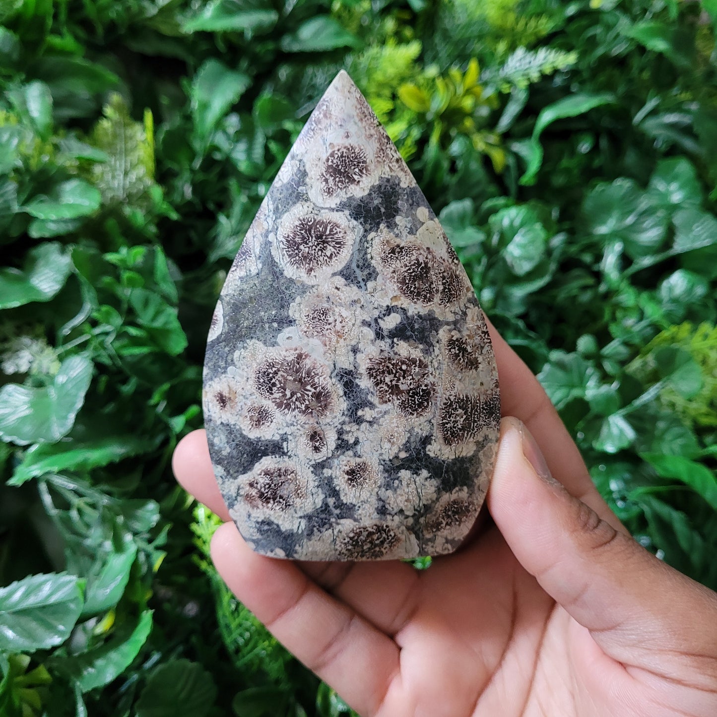 Green Flower Jasper Freeform