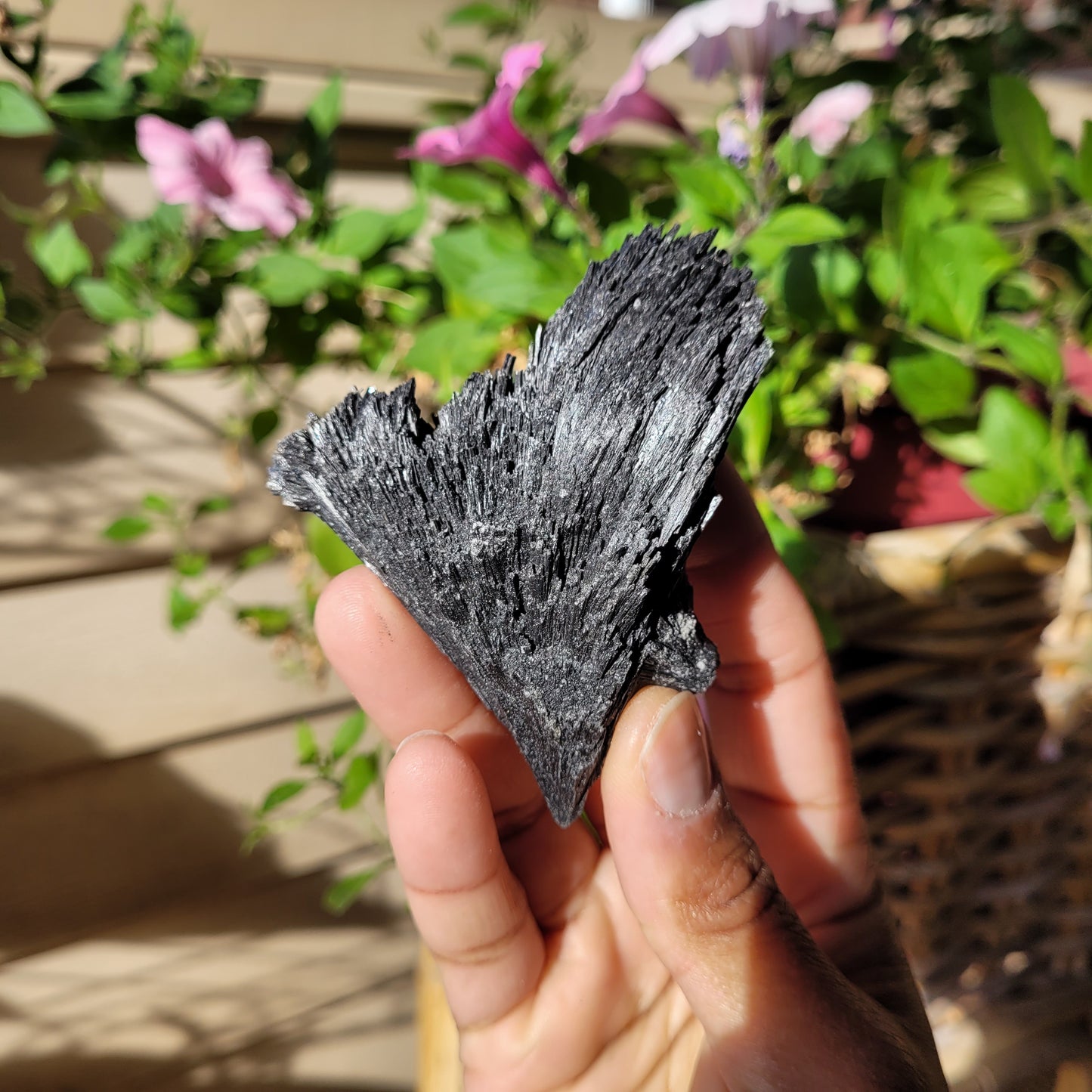 Black Kyanite Crystal Fan