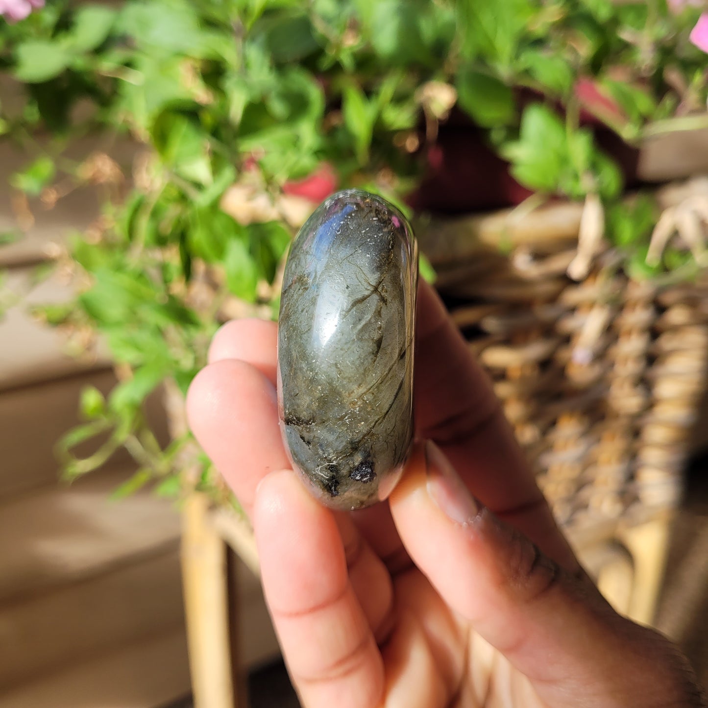 Labradorite Palmstone