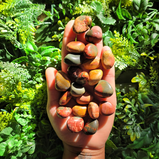 Cherry Creek Jasper Tumble