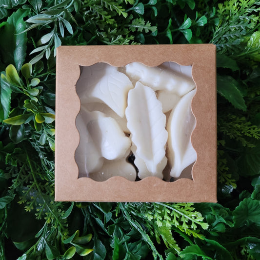 Lemon Wax Melt Pack