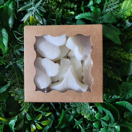 White Birch Wax Melt Pack