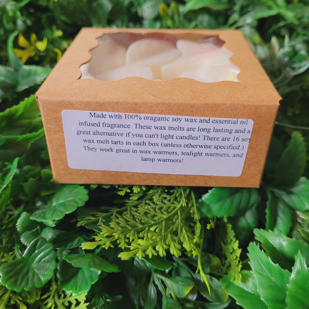 Amber Noir Wax Melt Pack
