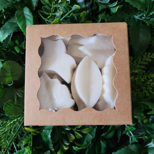 Rosemary Sage Wax Melt Pack