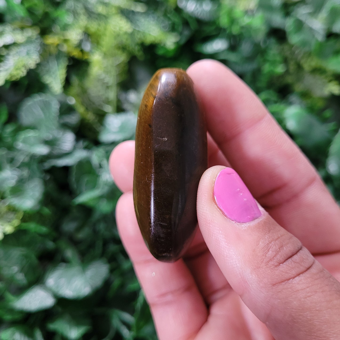 Tigers Eye Palmstone